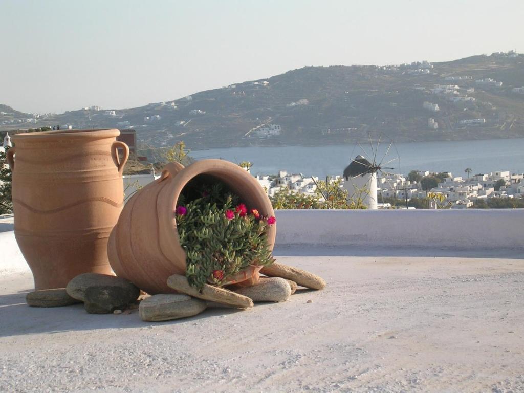 La Veranda Of Mykonos Traditional *