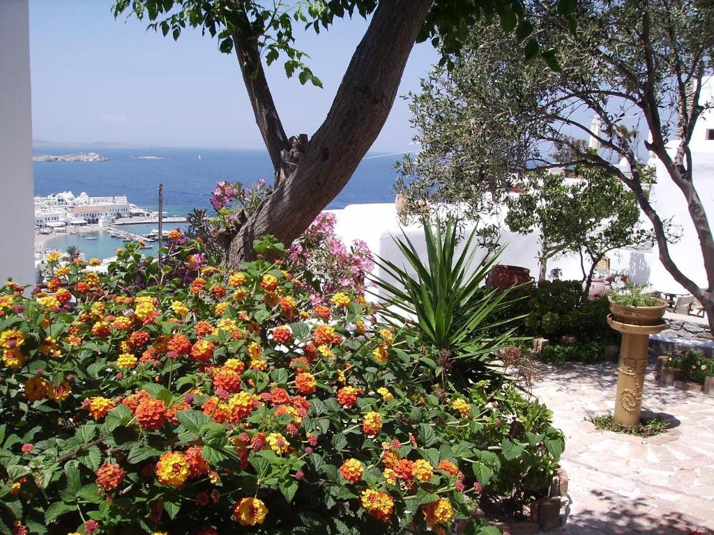 La Veranda Of Mykonos Traditional *