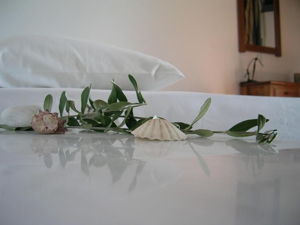 La Veranda Of Mykonos Traditional